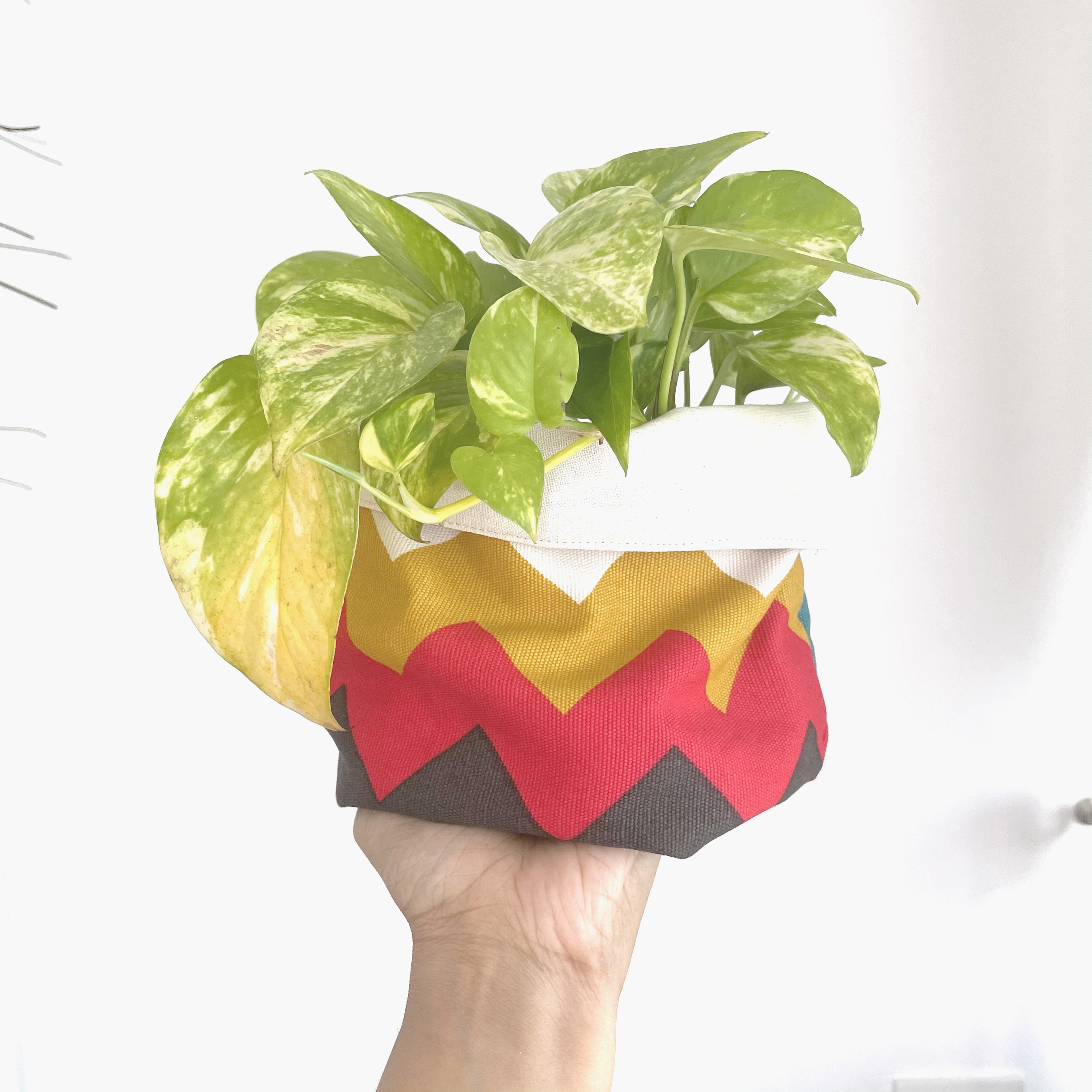 Fabric Planter Singapore Gifting ideas